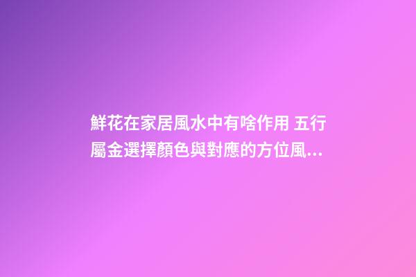 鮮花在家居風水中有啥作用 五行屬金選擇顏色與對應的方位風水有